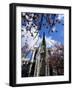 Cathedral of Notre-Dame, Rouen, Seine-Maritime, Haute Normandie (Normandy), France-David Hughes-Framed Photographic Print