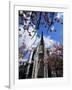 Cathedral of Notre-Dame, Rouen, Seine-Maritime, Haute Normandie (Normandy), France-David Hughes-Framed Photographic Print