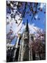 Cathedral of Notre-Dame, Rouen, Seine-Maritime, Haute Normandie (Normandy), France-David Hughes-Mounted Photographic Print