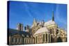 Cathedral of Notre-Dame-null-Stretched Canvas