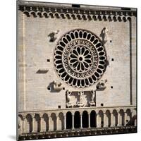 Cathedral of San Rufino-Alessi Galeazzo-Mounted Photographic Print