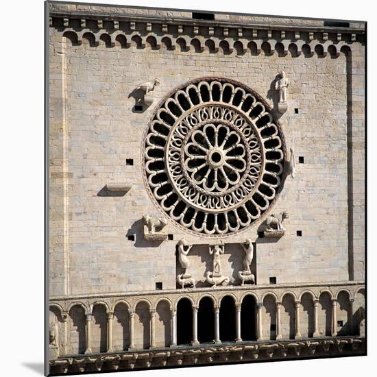 Cathedral of San Rufino-Alessi Galeazzo-Mounted Photographic Print