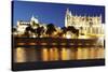 Cathedral of Santa Maria of Palma (La Seu) and Almudaina Palace at Parc De La Mar at Night-Markus Lange-Stretched Canvas