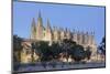 Cathedral of Santa Maria of Palma (La Seu)-Markus Lange-Mounted Photographic Print