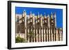 Cathedral of Santa Maria of Palma, Majorca, Balearic Islands, Spain.-Nico Tondini-Framed Photographic Print