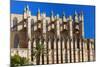 Cathedral of Santa Maria of Palma, Majorca, Balearic Islands, Spain.-Nico Tondini-Mounted Photographic Print