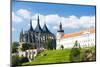 Cathedral of St. Barbara and Jesuit College, Kutna Hora, Czech Republic-phbcz-Mounted Photographic Print