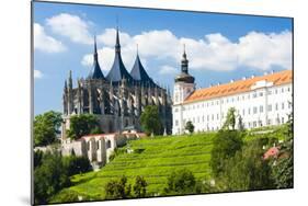 Cathedral of St. Barbara and Jesuit College, Kutna Hora, Czech Republic-phbcz-Mounted Photographic Print