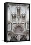 Cathedral of St. Elizabeth, Kosice, Kosice Region, Slovakia, Europe-Ian Trower-Framed Stretched Canvas