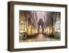 Cathedral of St. John the Baptist, Wroclaw, Silesia, Poland, Europe-Christian Kober-Framed Photographic Print