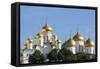 Cathedral of the Annunciation in the Kremlin, UNESCO World Heritage Site, Moscow, Russia, Europe-Martin Child-Framed Stretched Canvas