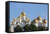 Cathedral of the Annunciation in the Kremlin, UNESCO World Heritage Site, Moscow, Russia, Europe-Martin Child-Framed Stretched Canvas