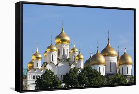 Cathedral of the Annunciation in the Kremlin, UNESCO World Heritage Site, Moscow, Russia, Europe-Martin Child-Framed Stretched Canvas