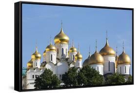 Cathedral of the Annunciation in the Kremlin, UNESCO World Heritage Site, Moscow, Russia, Europe-Martin Child-Framed Stretched Canvas