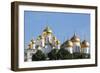 Cathedral of the Annunciation in the Kremlin, UNESCO World Heritage Site, Moscow, Russia, Europe-Martin Child-Framed Photographic Print