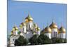 Cathedral of the Annunciation in the Kremlin, UNESCO World Heritage Site, Moscow, Russia, Europe-Martin Child-Mounted Photographic Print