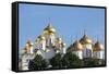 Cathedral of the Annunciation in the Kremlin, UNESCO World Heritage Site, Moscow, Russia, Europe-Martin Child-Framed Stretched Canvas