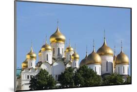 Cathedral of the Annunciation in the Kremlin, UNESCO World Heritage Site, Moscow, Russia, Europe-Martin Child-Mounted Photographic Print