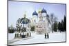 Cathedral of the Assumption in Winter Snow, Sergiev Posad, Moscow Area-Gavin Hellier-Mounted Premium Photographic Print