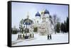 Cathedral of the Assumption in Winter Snow, Sergiev Posad, Moscow Area-Gavin Hellier-Framed Stretched Canvas