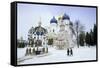 Cathedral of the Assumption in Winter Snow, Sergiev Posad, Moscow Area-Gavin Hellier-Framed Stretched Canvas