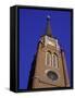 Cathedral of the Assumption, Louisville, Kentucky, USA-null-Framed Stretched Canvas