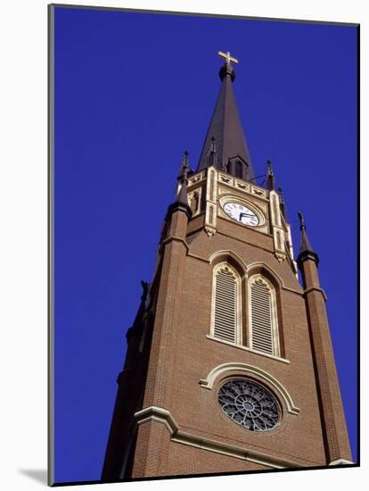 Cathedral of the Assumption, Louisville, Kentucky, USA-null-Mounted Photographic Print