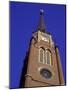 Cathedral of the Assumption, Louisville, Kentucky, USA-null-Mounted Photographic Print