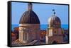 Cathedral of the Assumption of the Virgin Mary on Left-Alan Copson-Framed Stretched Canvas