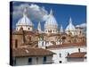 Cathedral of the Immaculate Conception, Built in 1885, Cuenca, Ecuador-Peter Adams-Stretched Canvas