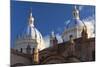 Cathedral of the Immaculate Conception, Built in 1885, Cuenca, Ecuador-Peter Adams-Mounted Photographic Print
