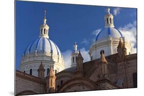 Cathedral of the Immaculate Conception, Built in 1885, Cuenca, Ecuador-Peter Adams-Mounted Photographic Print