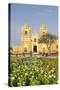 Cathedral of Trujillo from Plaza De Armas, Trujillo, Peru, South America-Michael DeFreitas-Stretched Canvas