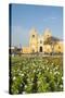 Cathedral of Trujillo from Plaza de Armas, Trujillo, Peru.-Michael DeFreitas-Stretched Canvas