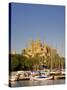 Cathedral, Palma, Mallorca, Spain-Neil Farrin-Stretched Canvas