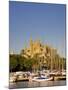 Cathedral, Palma, Mallorca, Spain-Neil Farrin-Mounted Photographic Print