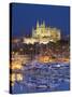 Cathedral, Palma, Mallorca, Spain-Neil Farrin-Stretched Canvas