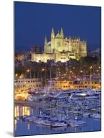 Cathedral, Palma, Mallorca, Spain-Neil Farrin-Mounted Photographic Print