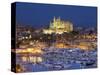 Cathedral, Palma, Mallorca, Spain-Neil Farrin-Stretched Canvas