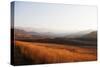 Cathedral Peak Nature Reserve, Drakensburg, Kwazulu-Natal, South Africa, Africa-Christian Kober-Stretched Canvas
