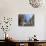 Cathedral Reflected in Window of Shop Selling Medieval Armour, Toledo, Castilla-La Mancha, Spain-Ruth Tomlinson-Photographic Print displayed on a wall