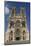 Cathedral, Rheims, UNESCO World Heritage Site, Marne, France, Europe-Rolf Richardson-Mounted Photographic Print