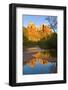 Cathedral Rock at sunset, Arizona, USA-Anna Miller-Framed Photographic Print