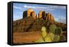 Cathedral Rock at Sunset, Prickly Pear Cactus, Sedona, Arizona, Usa-Michel Hersen-Framed Stretched Canvas