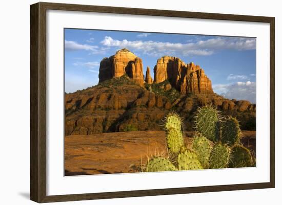 Cathedral Rock at Sunset, Prickly Pear Cactus, Sedona, Arizona, Usa-Michel Hersen-Framed Photographic Print