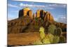 Cathedral Rock at Sunset, Prickly Pear Cactus, Sedona, Arizona, Usa-Michel Hersen-Mounted Photographic Print