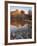 Cathedral Rock Reflected in Oak Creek, Crescent Moon Picnic Area, Coconino National Forest, Arizona-James Hager-Framed Photographic Print