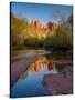 Cathedral Rock Reflection-Michael Blanchette Photography-Stretched Canvas