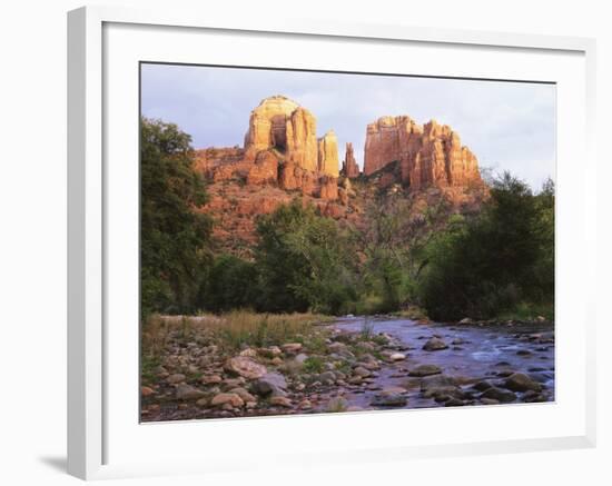 Cathedral Rock, Sedona, Arizona, United States of America (U.S.A.), North America-Tony Gervis-Framed Photographic Print