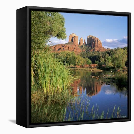 Cathedral Rock, Sedona, Arizona, United States of America (U.S.A.), North America-Tony Gervis-Framed Stretched Canvas